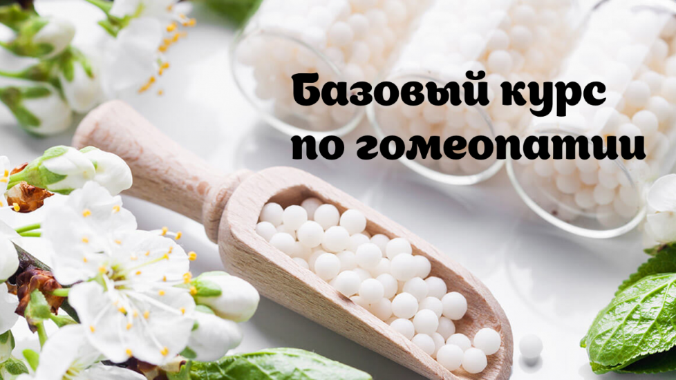 [Наталья Радомская] Базовый курс по гомеопатии (20_0.png